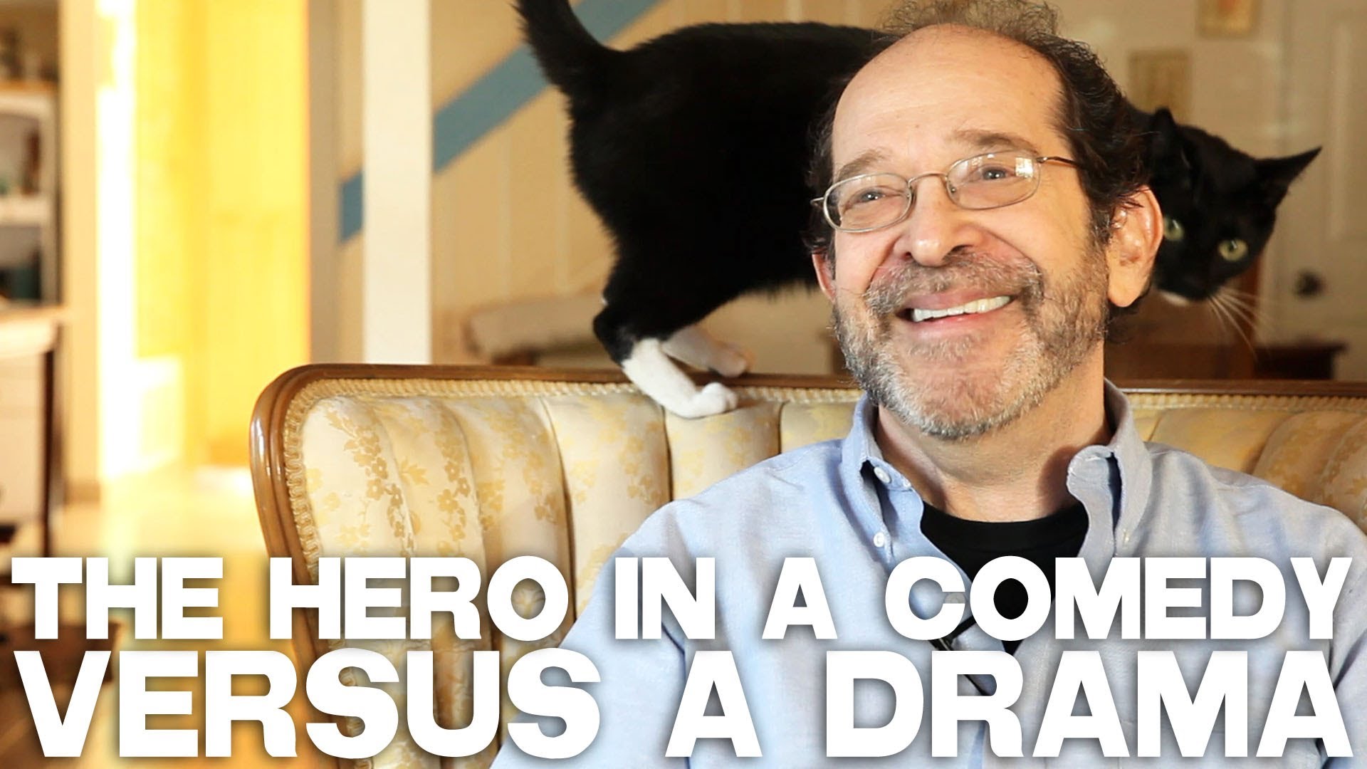 The Hero In A Comedy Versus A Drama | Steve Kaplan's Comedy Intensive